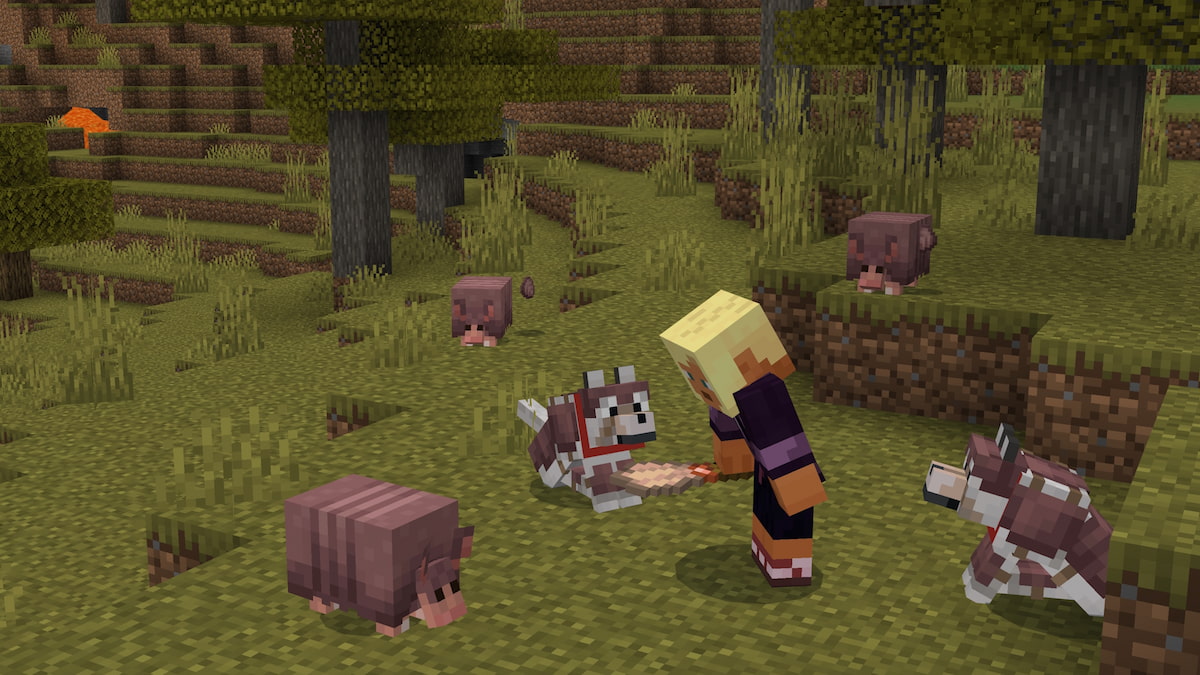 Un joueur Minecraft entouré d'un loup et de quatre tatous au design ancien.