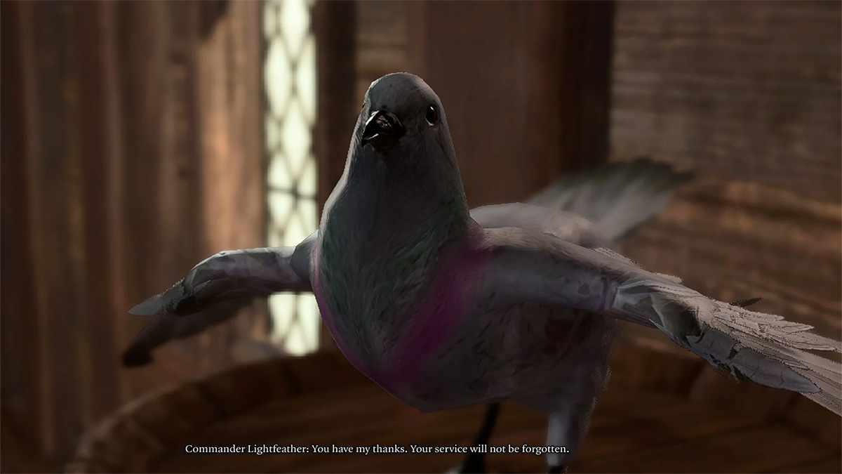 Baldurs Gate 3, le personnage principal parlant avec Scratch le pigeon commandant