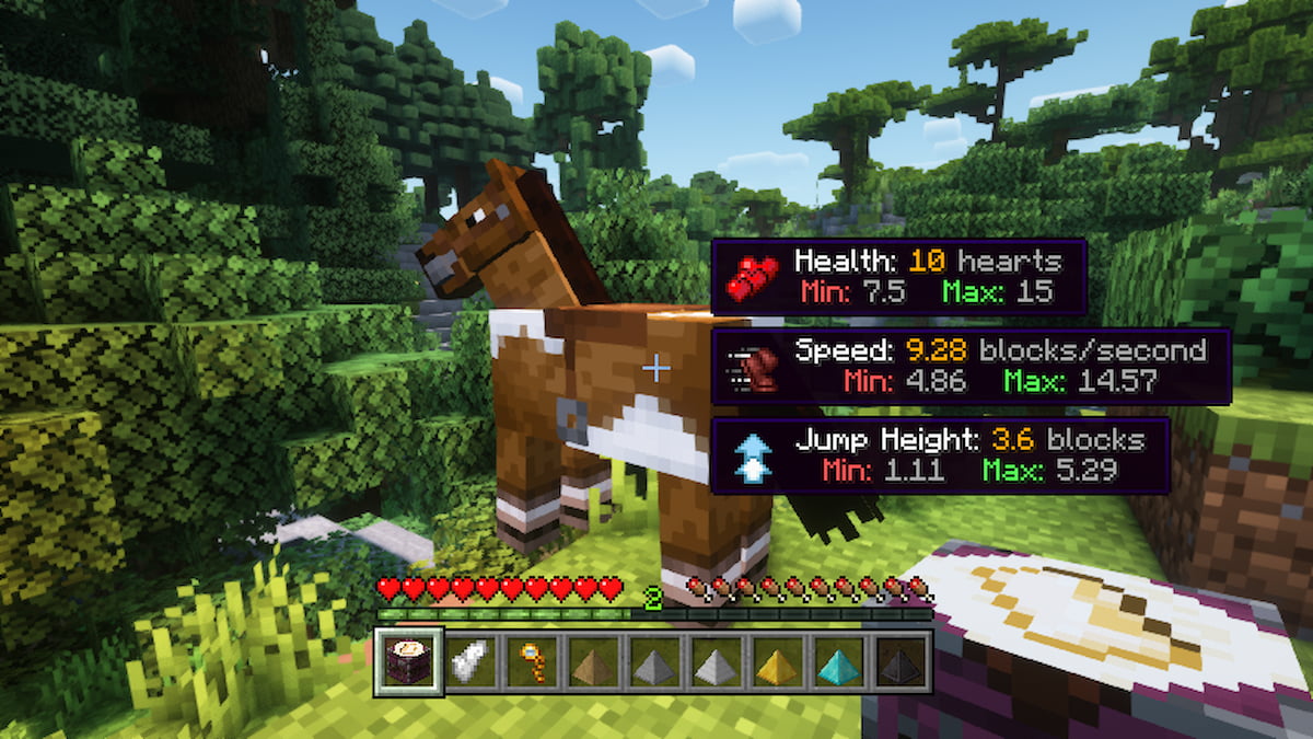 Les statistiques cachées d'un cheval Minecraft révélées avec le mod Horse Expert.