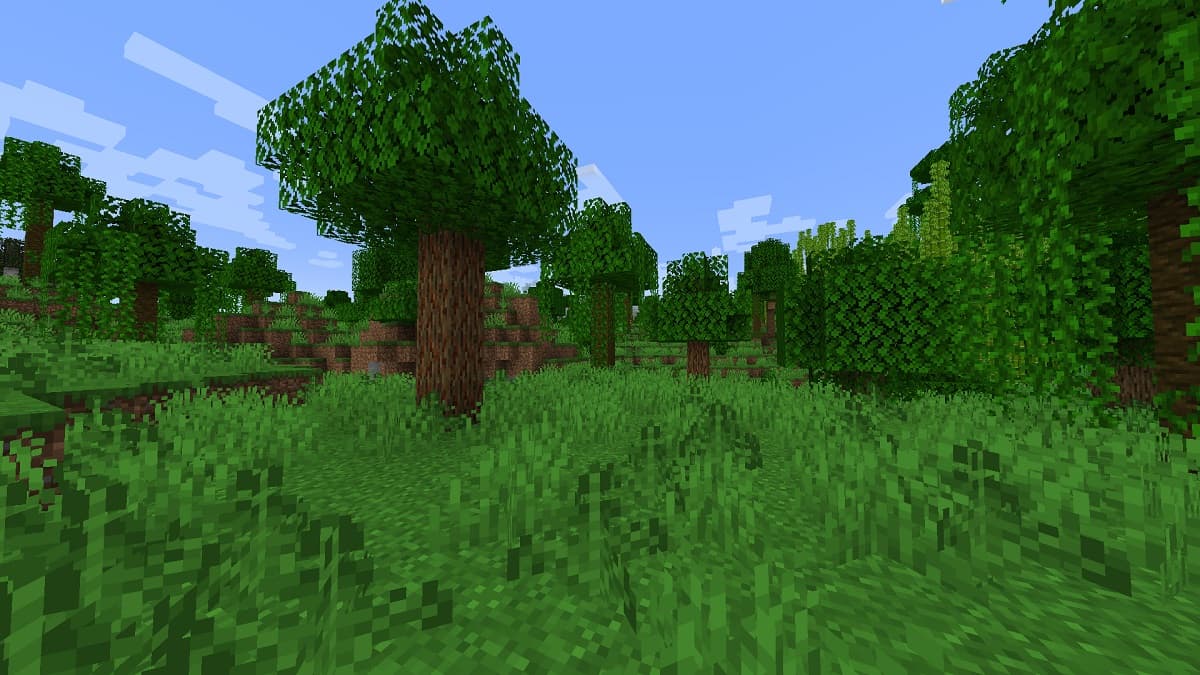 Une vue luxuriante sur la forêt du mod Expanded Delight Minecraft