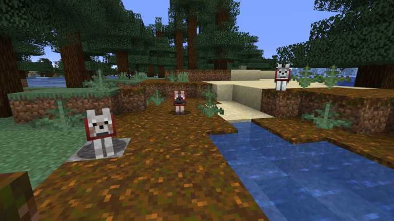 Toutes les variantes de Wolf et où les trouver dans Minecraft