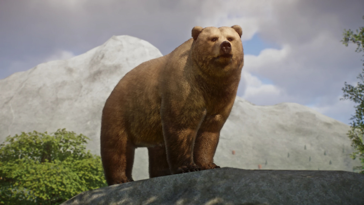 Un modèle modifié d'un ours Planet Zoo du mod Grizzly Bear Remaster et New Variants.