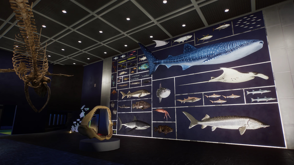 Une gamme d'accessoires pour poissons sur un mur du pack Planet Zoo Aquaria.
