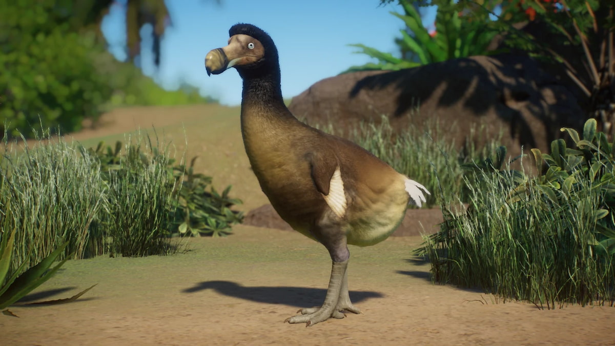 Un Dodo debout dans un enclos du mod Dodo - Extinct New Species.