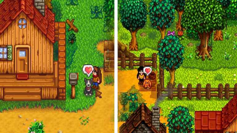 Comment obtenir plusieurs animaux de compagnie dans Stardew Valley 1.6