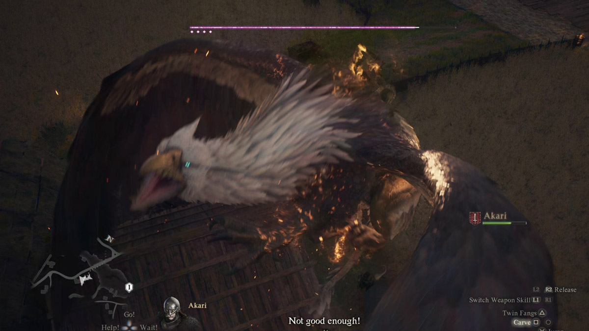 Dragons Dogma 2 Griffon en plein vol