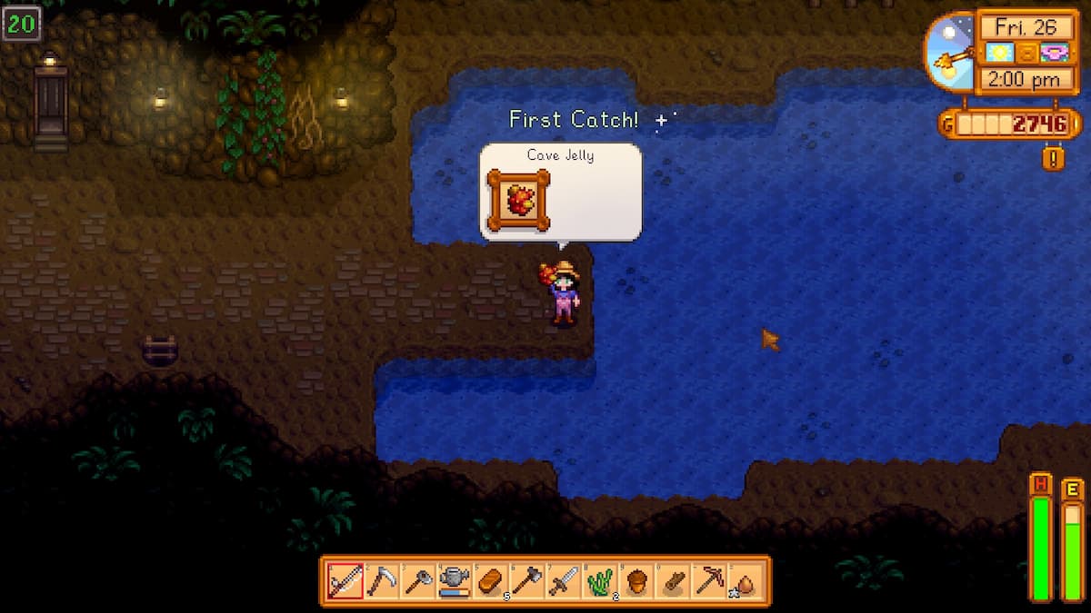 C'est la première fois que j'attrape Cave Jelly au niveau Mine 20. 