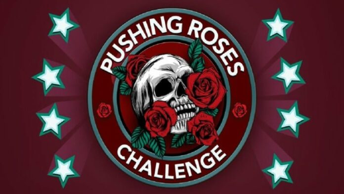 Pushing Roses challenge logo