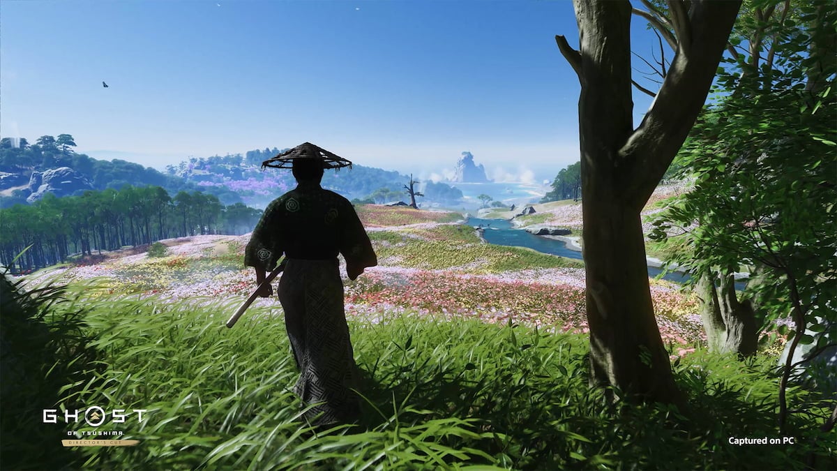 fantôme du joueur de Tsushima profitant d'une vallée de paysage d'été avec des arbres et des montagnes au loin