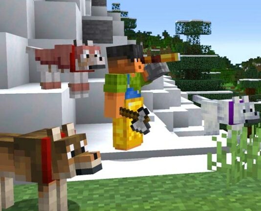 Steve stands with a pack on wolves in Minecraft