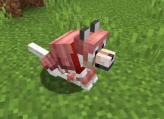 Tamed wolf wearing wolf armor in Minecraft