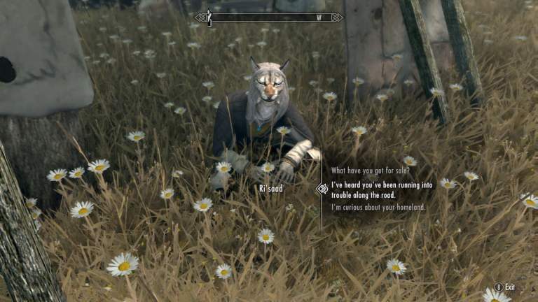 Ri'Saad, Khajit sitting in grass in front of a tent