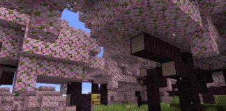 15 meilleures graines de fleurs de cerisier Minecraft pour 1.20.4
