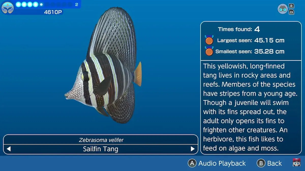 Une capture d'écran de la bande-annonce officielle d'Endless Ocean Luminous.  L'image montre un poisson Sailfin Tang à gauche, avec des rayures noires et blanches.  Sur la droite, vous trouverez des informations sur les poissons, notamment le nombre de poissons trouvés par le joueur, les plus petits et les plus gros trouvés et où les trouver. 