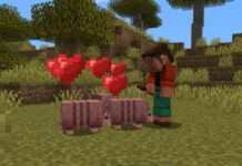 Armadillos breeding in Minecraft