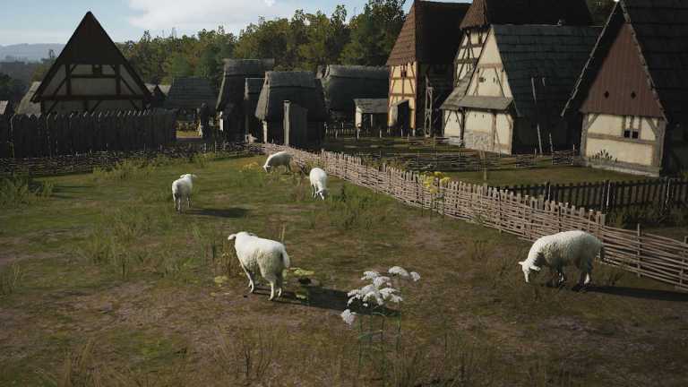 Comment obtenir des moutons dans Manor Lords