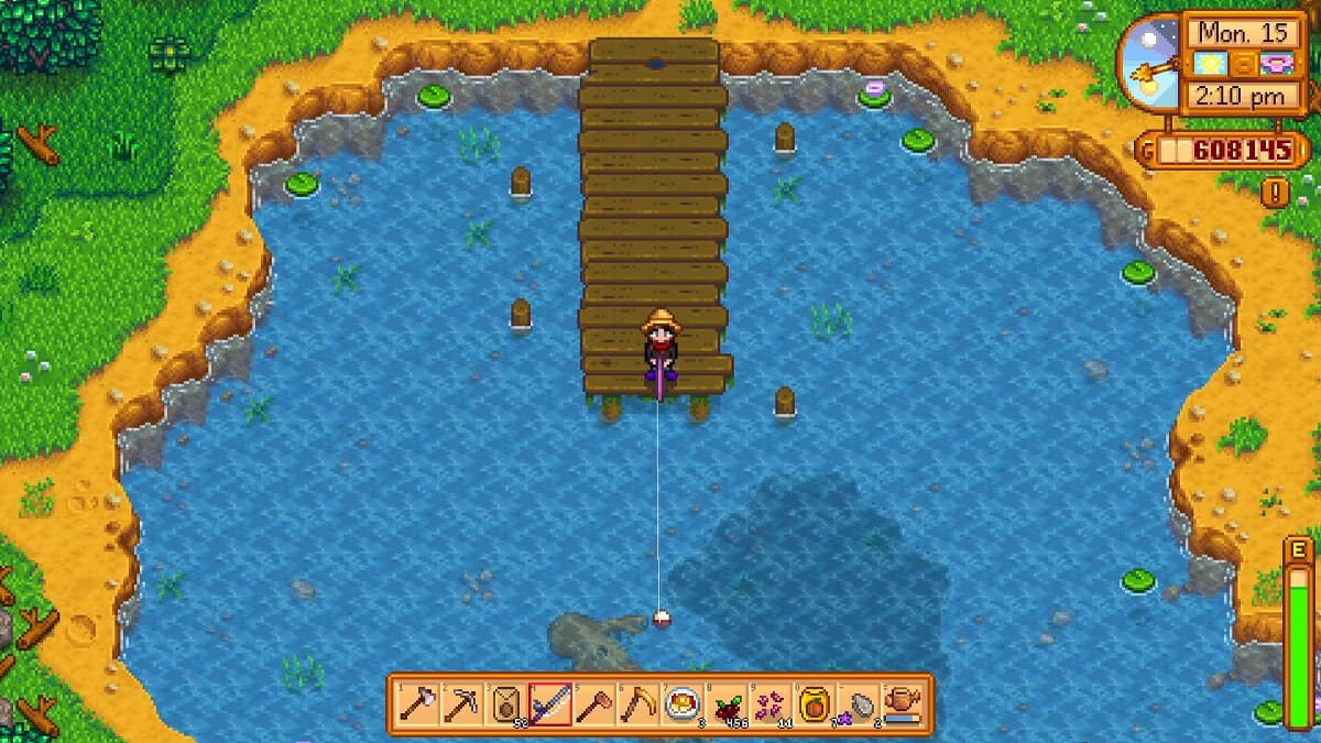 Pêcher dans un étang