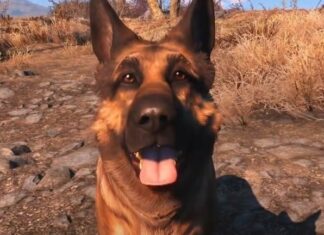 Dogmeat looking at the camera in Fallout 4