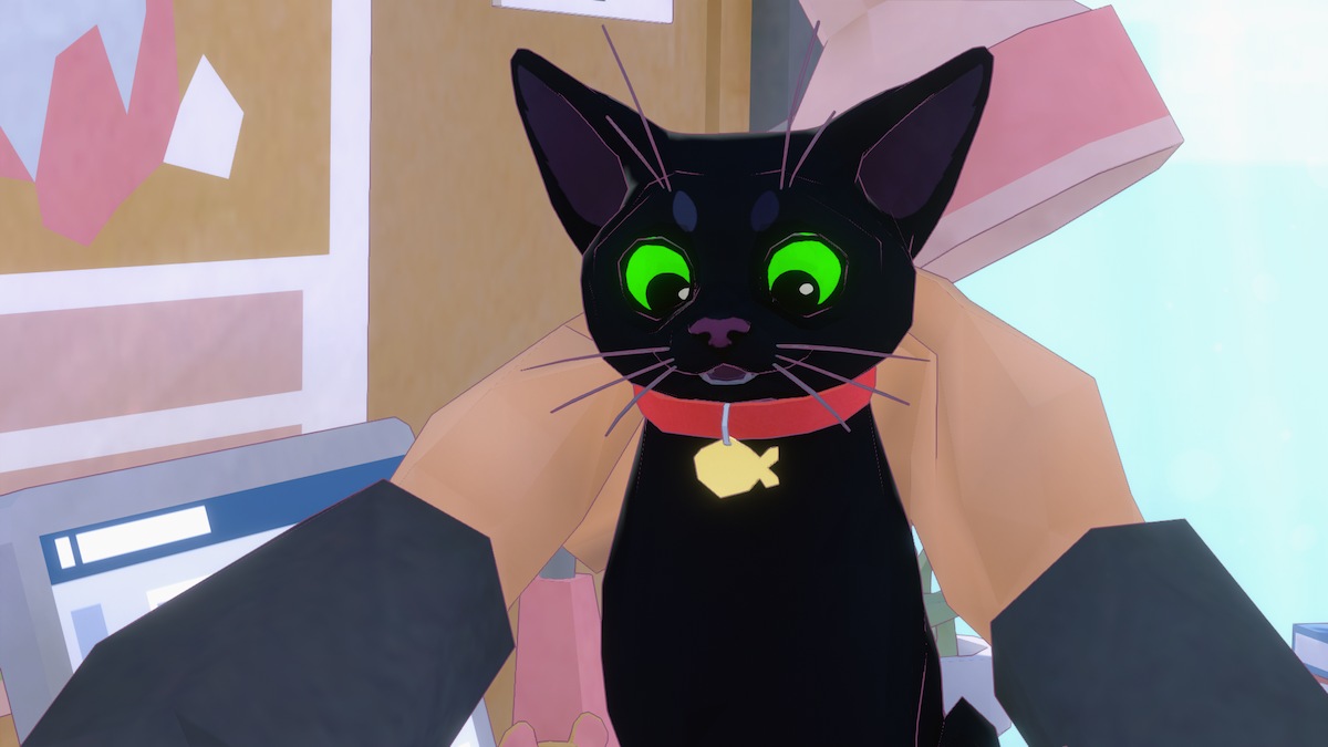 L'humain donne un collier à petit chaton dans Little Kitty, Big City. 