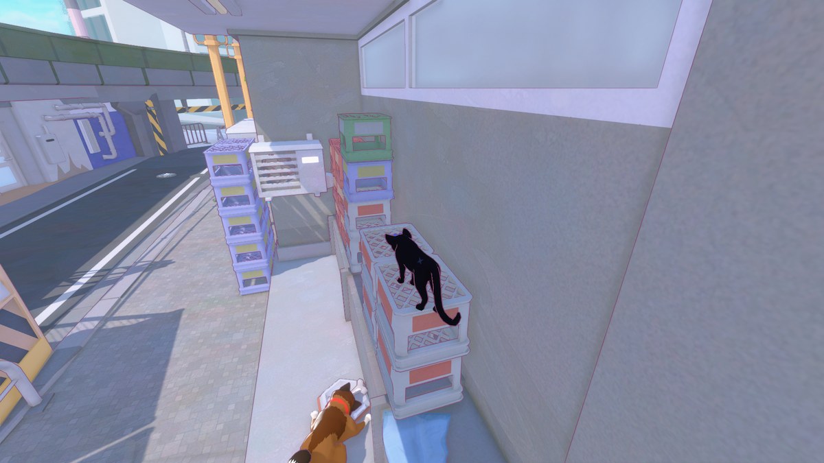 Un petit chaton grimpe dans des caisses au-dessus d'un chien à Little Kitty, Big City. 