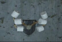 Finding six rolls of toilet paper handing on antlers in Van Lowe Taxidermy building in Lewisburg, Fallout 76.