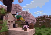 Lush cherry grove biome in Minecraft