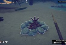 Campfire with Stones on beach in Survival Fountain of Youth
