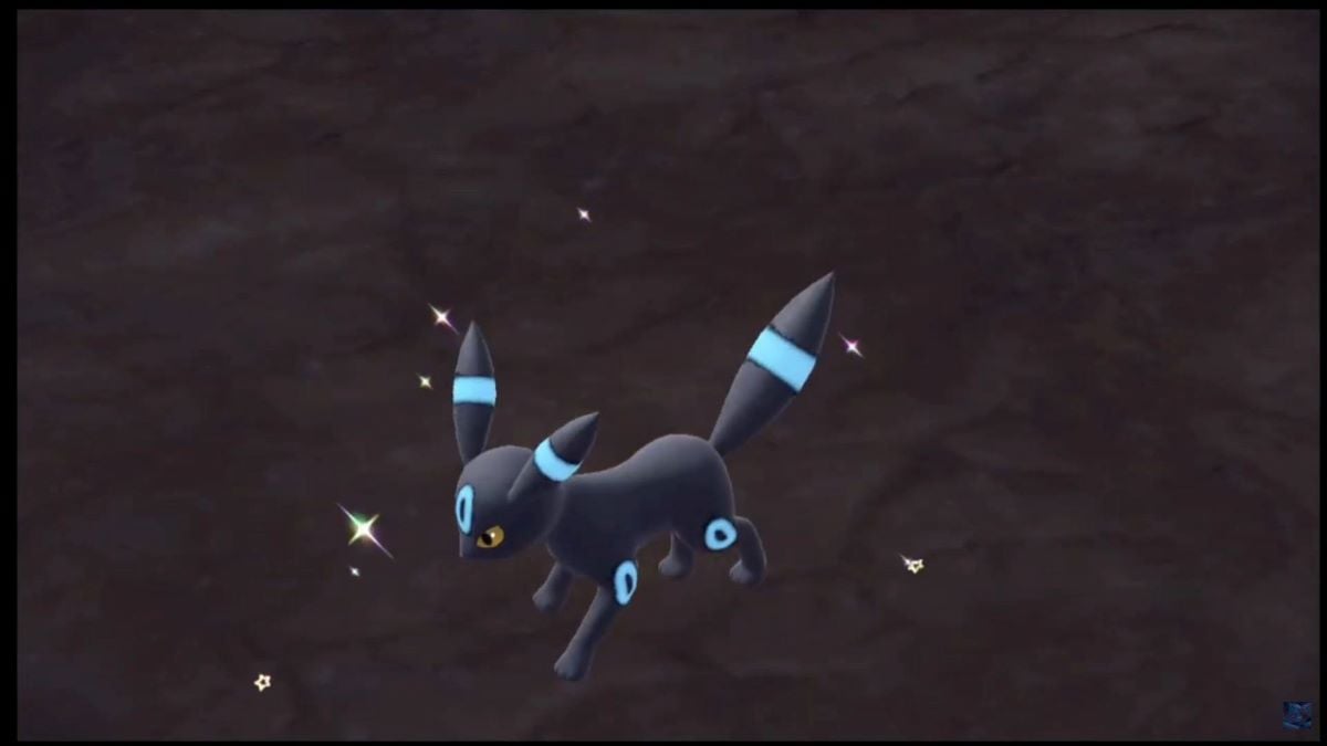 Gros plan d'Umbreon brillant dans Pokémon Écarlate et Violet