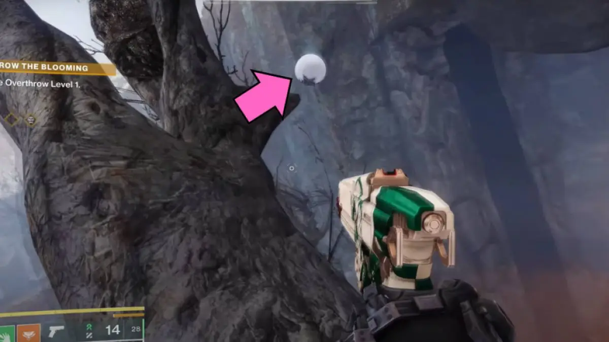 Vision du Voyageur sur un arbre dans Blooming dans Destiny 2 The Final Shape