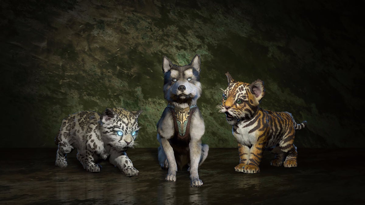 Bébés animaux de compagnie jaguar, loup et tigre dans Diablo 4