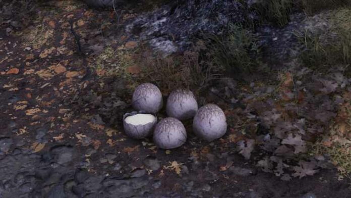 Mirelurk egg nest.