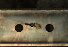 The Cave Gate key in Fallout 76.