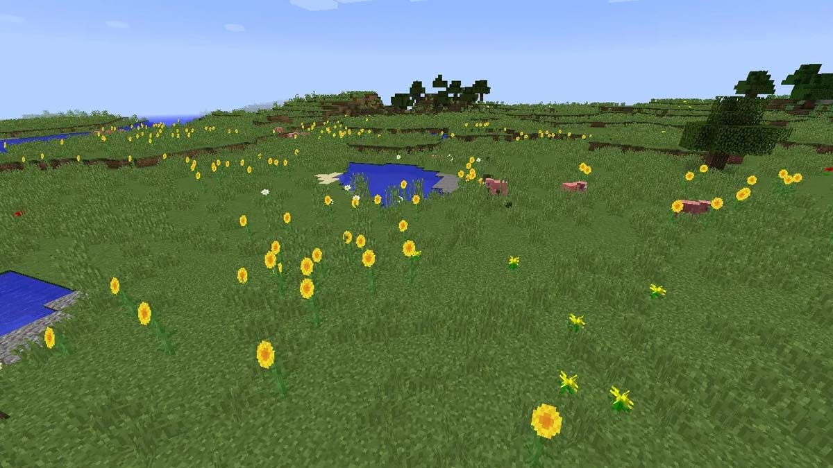 Immenses plaines de tournesols dans Minecraft