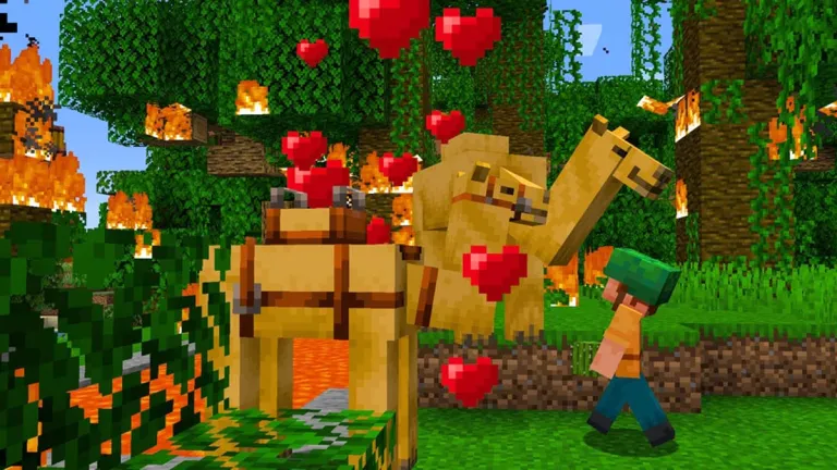 Camels surrounded by hearts in Minecraft