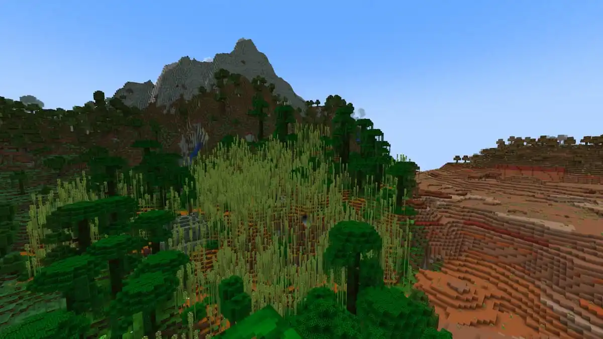 Jungle de bambous dans Minecraft