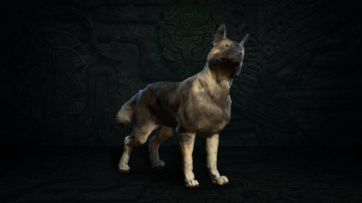 Le chien de compagnie Asheara dans Diablo IV