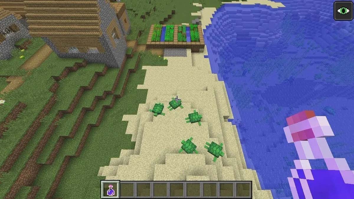 Plage et village des tortues dans Minecraft