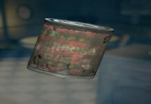 Inspecting Canned Dog Food in Fallout 76