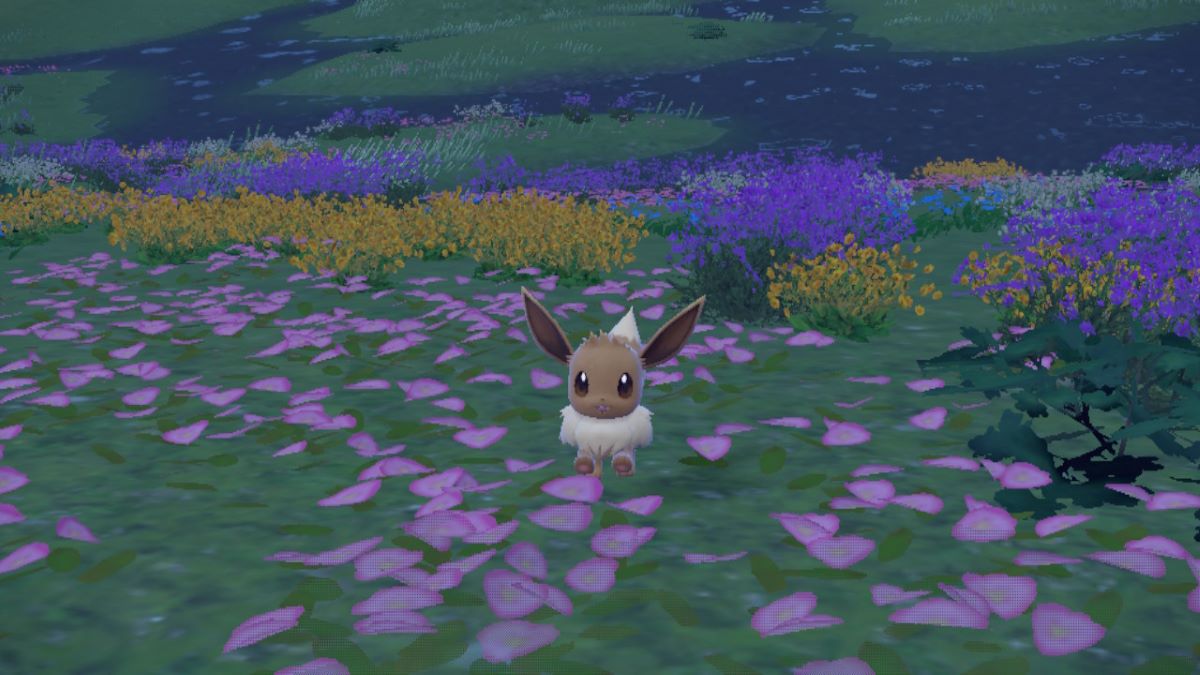 Evoli joue dans un champ de fleurs dans Pokémon Scarlet & Violet
