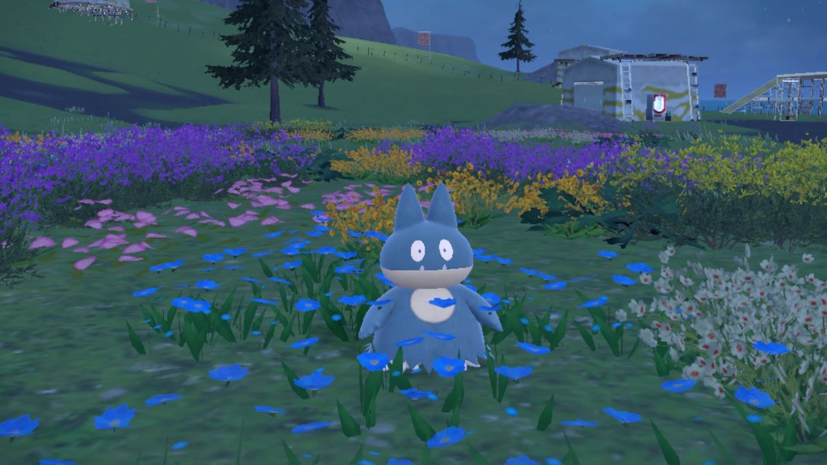 Munchlax dans un champ de fleurs dans Pokémon Scarlet & Violet