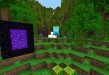 Nether portal in mangrove swamp in Minecraft