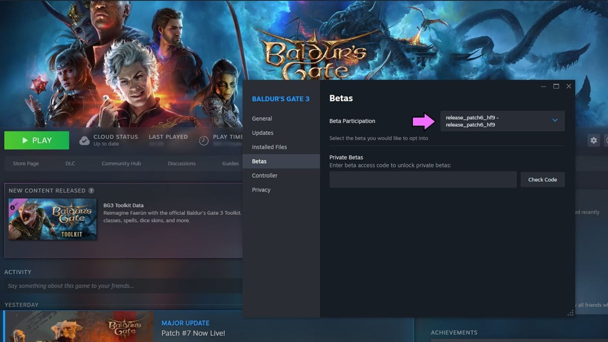 Menu des propriétés de Baldur's Gate 3 sur Steam