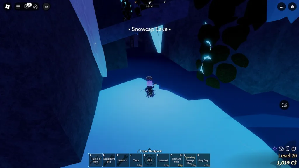 Grotte de Snowcap à Fisch sur Roblox.