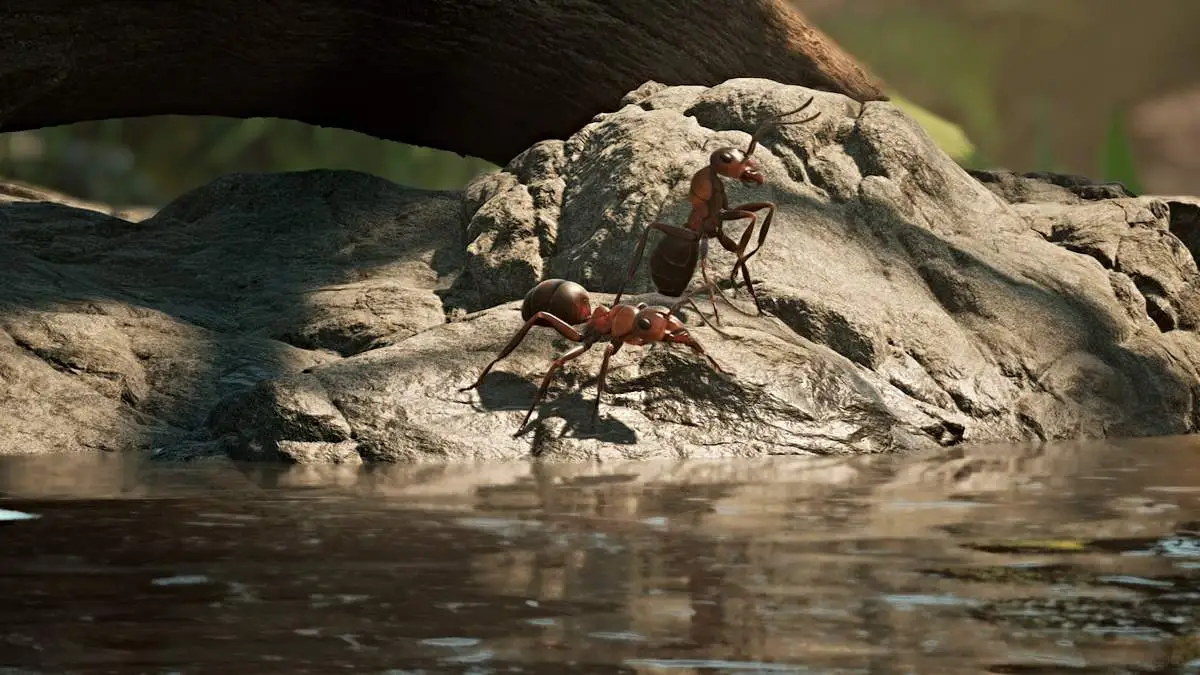 Paire de fourmis dans Empire des Fourmis