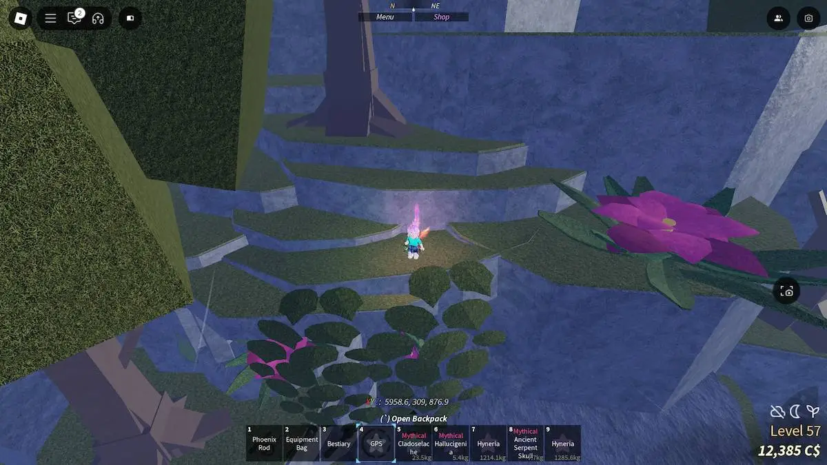 Avatar debout au-dessus de la grotte où se trouve le Pheonix Rod dans Roblox Fisch.