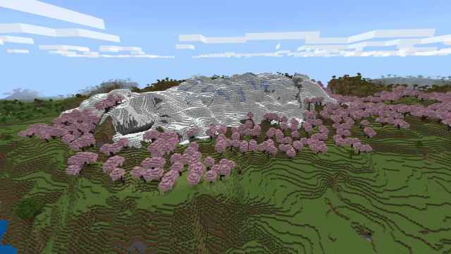 Un biome Cherry Grove bordant une colline de pentes enneigées à Minecraft