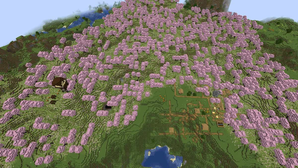 Un avant-poste de pilule et un village des plaines dans un biome Minecraft Cherry Grove