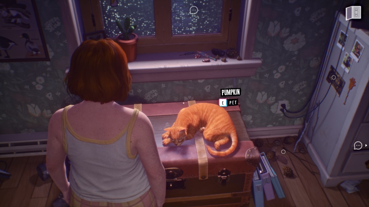 Swann's Cat in Lost Records: Bloom and Rage