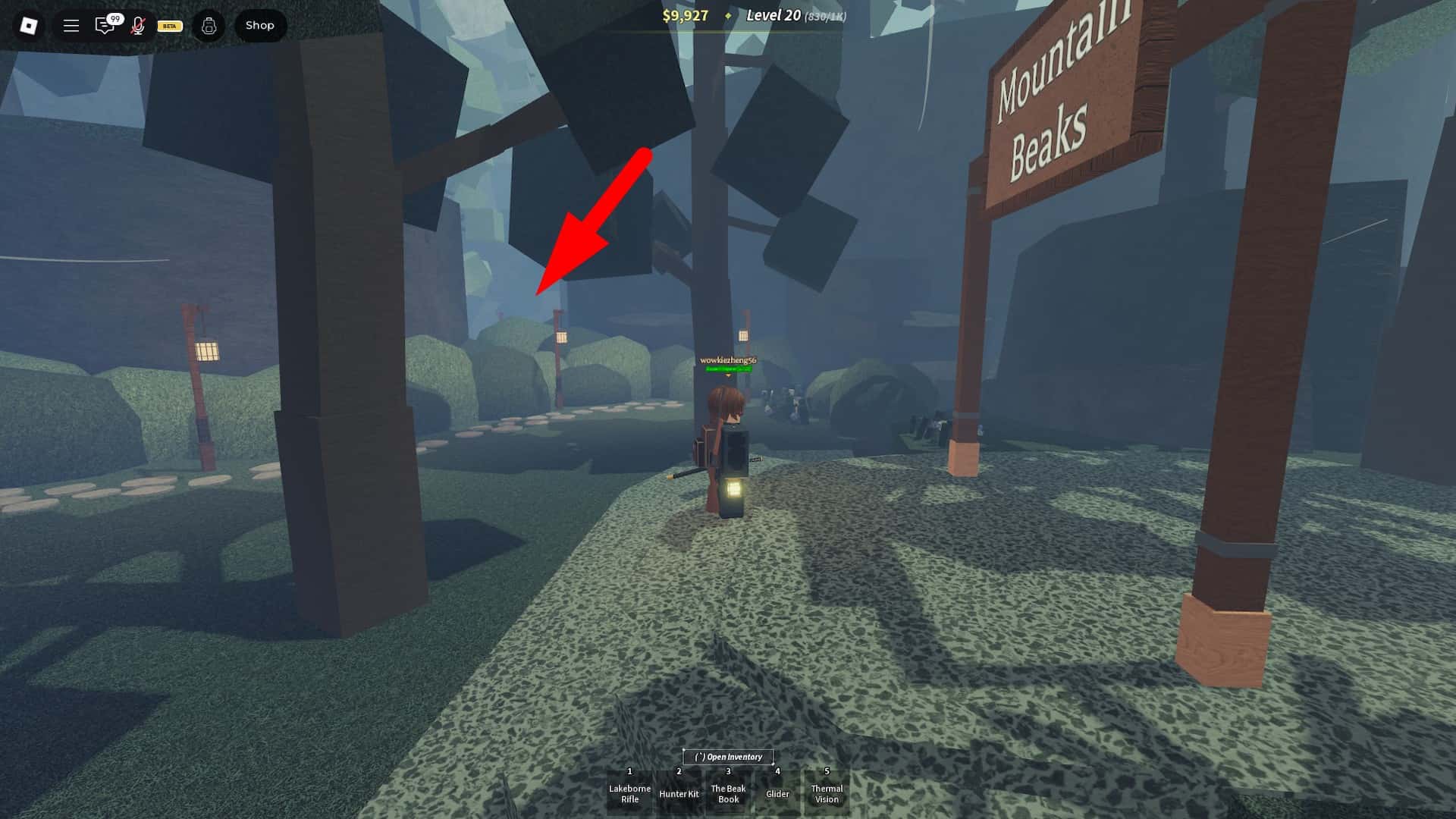 Camper Mountain Beaks Location Roblox Experience