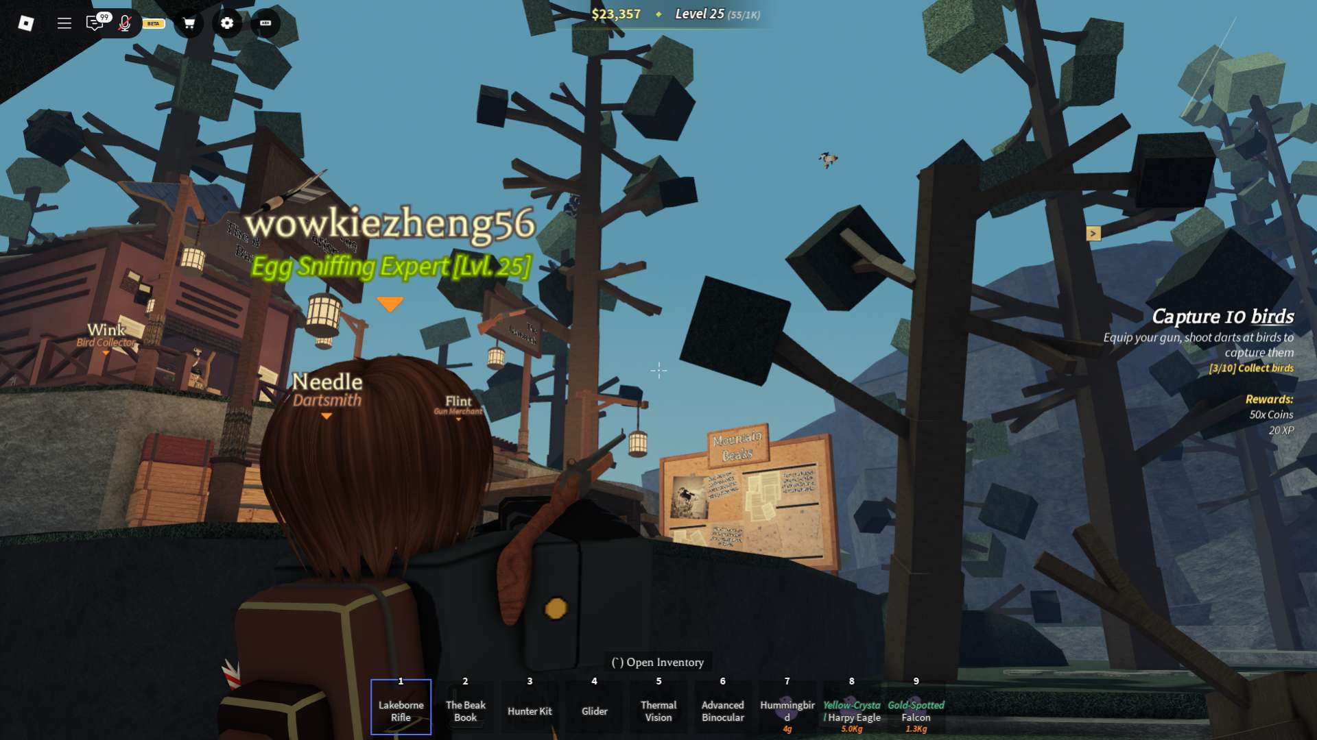 Contrôles dans les becs Roblox Experience
